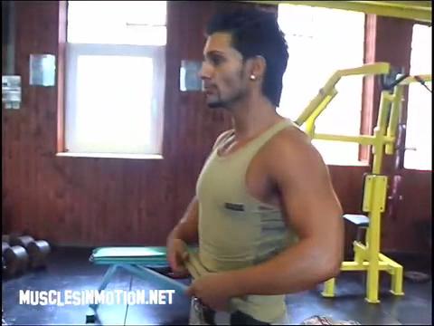 Shoulders