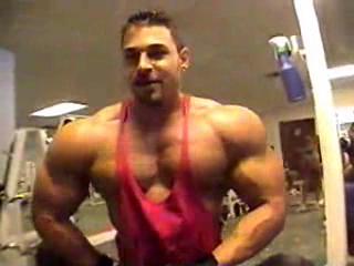 Alvisi Workout
