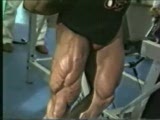 Mr. LEGS