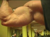 Zoltan Toth Workout
