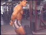 Mullet Muscle
