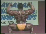 Phil Hill 1987-1988