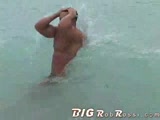 rob rossi