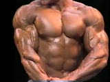 Hot Bearded Bodybulder in Posedown