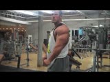 More Antoine Vaillant