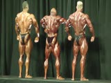 Evan Centopani