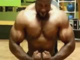 World Physique Federation