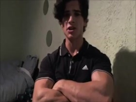 French Stud Clark 7
