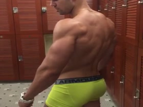 yellow boxer