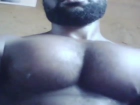BLACK PECS