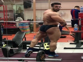 Persian Booty