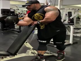 More Bruno Arms