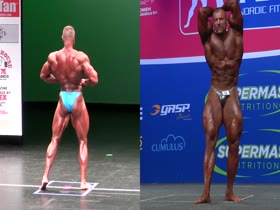 Dalibor Hajek