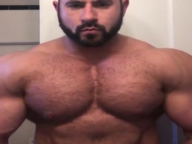 Gigant Bear
