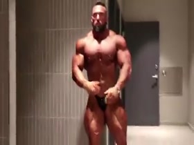 Arms a Massive